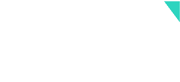 zng dijital logo